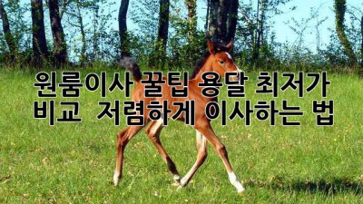 원룸이사 꿀팁🍯 용달 최저가 비교 & 저렴하게 이사하는 법!